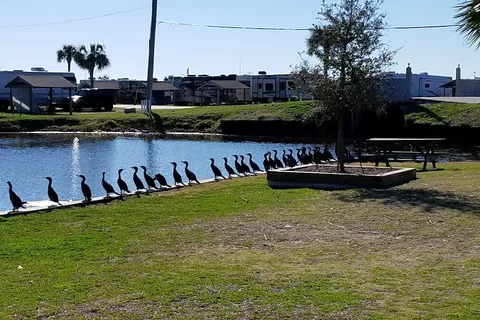 Pirateland Family Campground