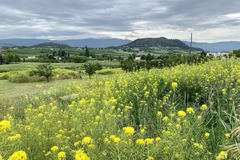Apple Valley Orchard and RV Park