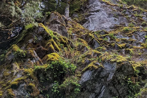 Kleanza Creek Provincial Park