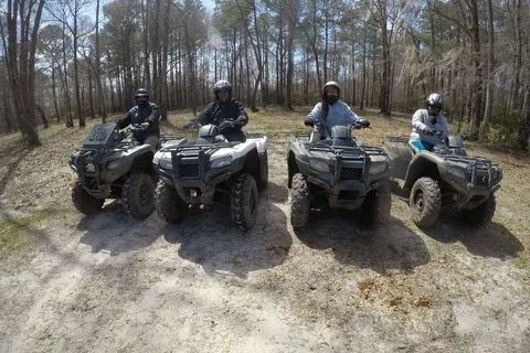 Carolina Backwoods
