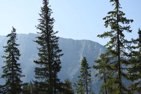 Tunnel Mountain Trailer Court - Banff National Park