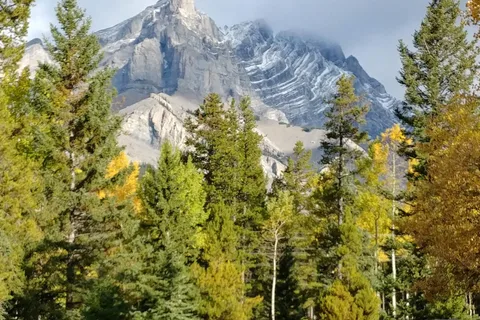 Tunnel Mountain Trailer Court - Banff National Park