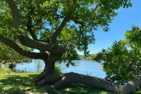 Pearl Lake RV Resort