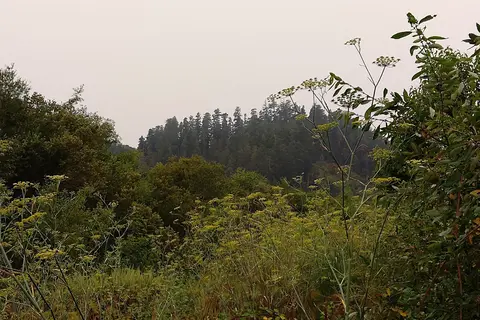 Klamath Camper Corral