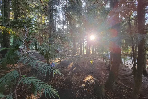 Cedar Falls Campground and RV Park