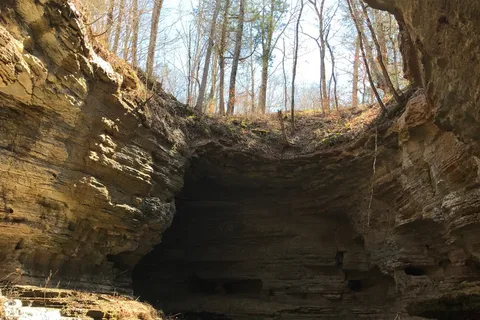 Tennessee Fitness Spa