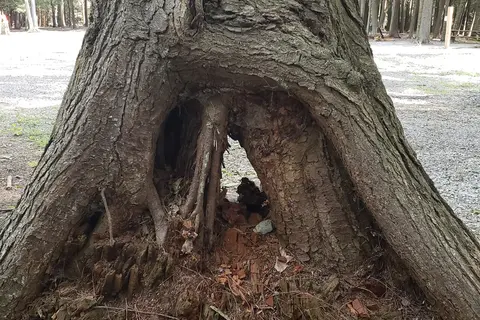 Lauder Family Campground
