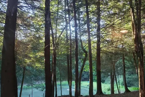 Lauder Family Campground