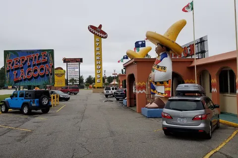 Camp Pedro