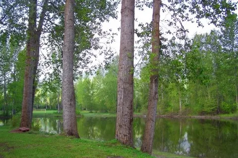 Pass Creek Regional Park