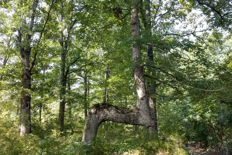 Jason Place Campground