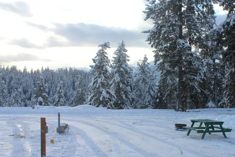 Whispering Spruce Campground and RV Park