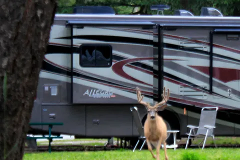 Whispering Spruce Campground and RV Park