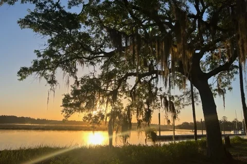 Belle Bluff Island Campground