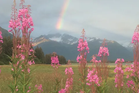 Valdez RV Park