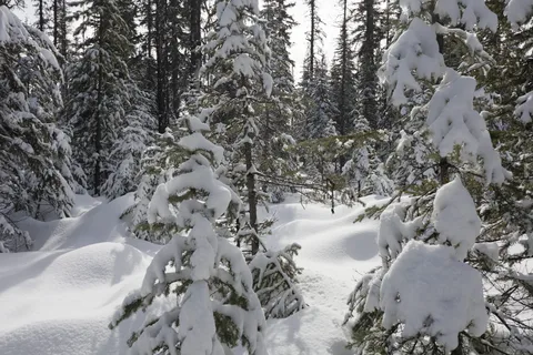 Crooked River Provincial Park Campground