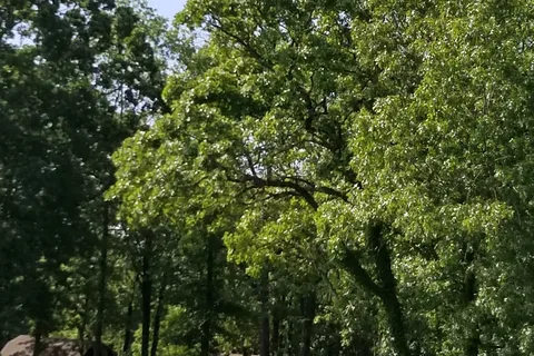 Meramec Campground