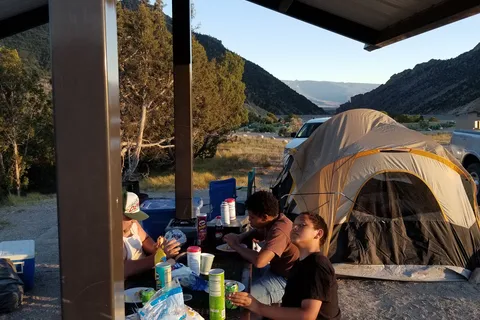 Sage - Rifle Gap State Park