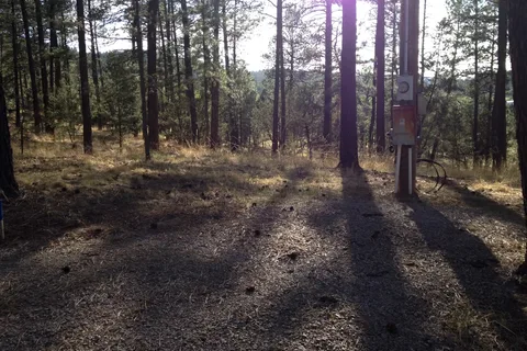Cool Pines RV Park