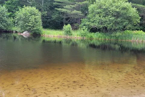Oxbow Campground