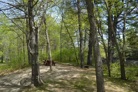 On the Saco Family Campground
