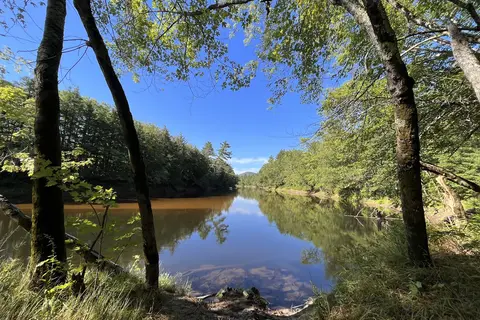 On the Saco Family Campground