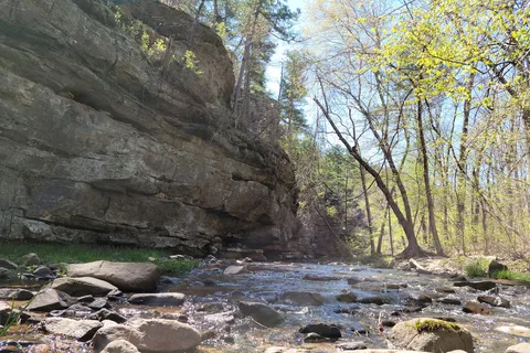 Hawn State Park