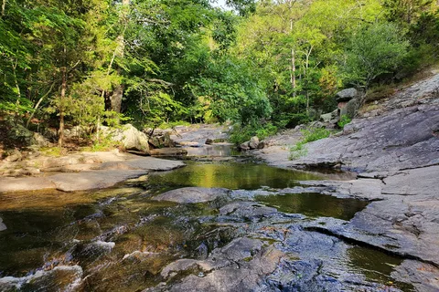 Hawn State Park