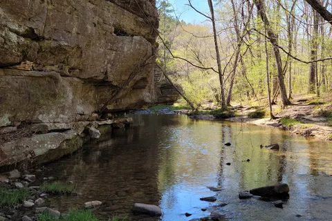 Hawn State Park