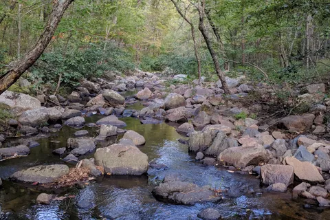 Hawn State Park
