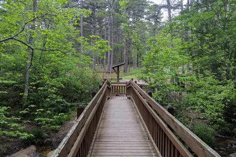 Hawn State Park