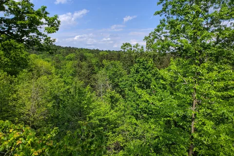 Hawn State Park