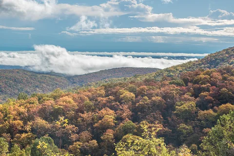 Lewis Mountain Campground - Shenandoah National Park
