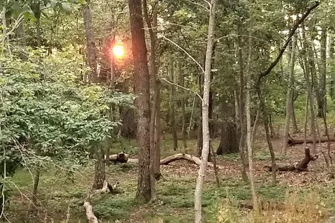 Lewis Mountain Campground - Shenandoah National Park