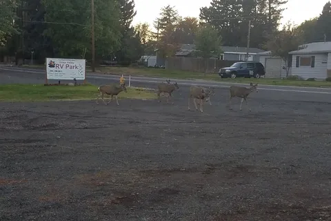 Grass Valley RV Park