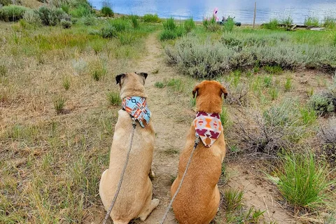 Elkhead Reservoir State Park