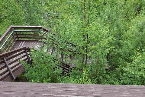 Bings Landing Recreation Site