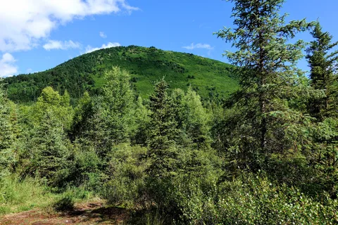 Bings Landing Recreation Site