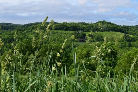 Mountain Top Campground