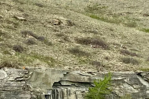 Windy Point - Oldman Dam Provincial Recreational Area