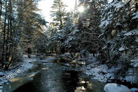 Fransted Family Campground and RV Park