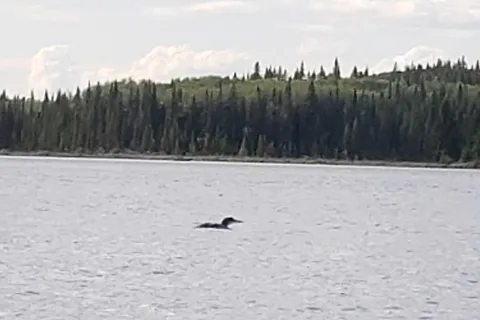 Sulphur Lake Provincial Recreational Area