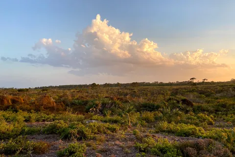 Juno Beach RV Park