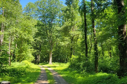 Windmill Hill