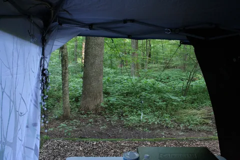Owens Creek Campground - Catoctin Mountain Park