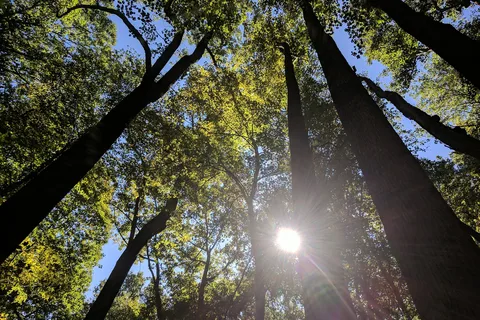 Owens Creek Campground - Catoctin Mountain Park