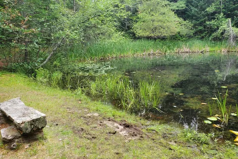 Blueberry Pond Campground