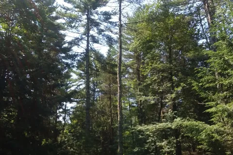 Blueberry Pond Campground