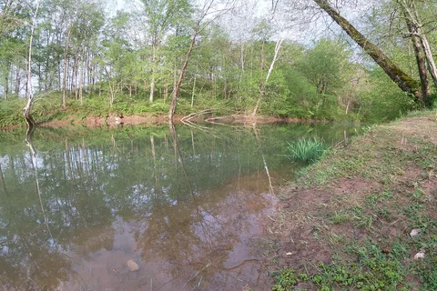 Creekside Cabins and RV Park