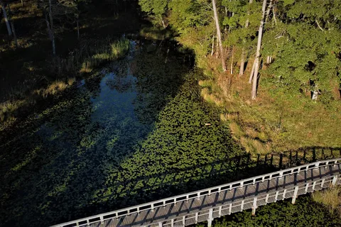 Turkey Creek Water Park Pat Harrison Waterway District